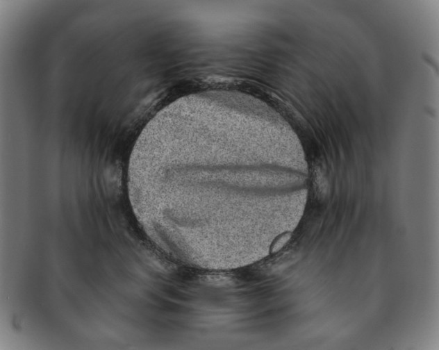 X0000090990668200708301313