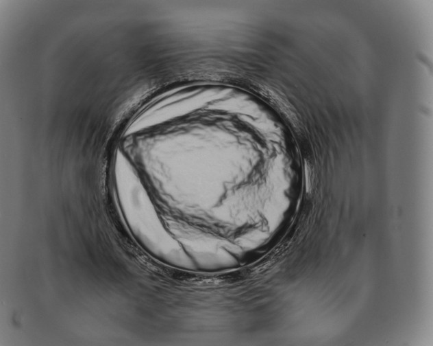 X0000090990675200708301313