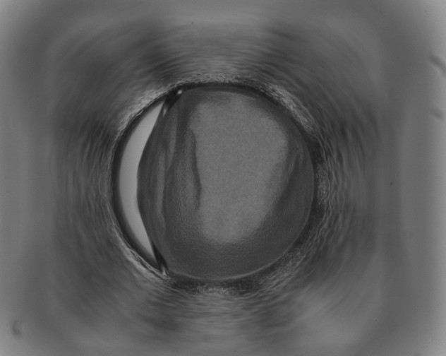 X0000090990677200708301313