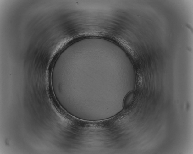 X0000090990678200708301313