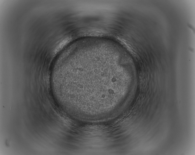 X0000090990679200708301313