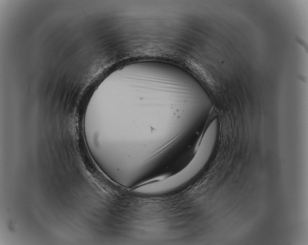 X0000090990680200708301313