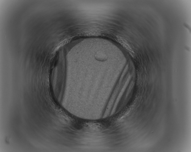 X0000090990681200708301313