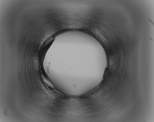 X0000090990684200708301312