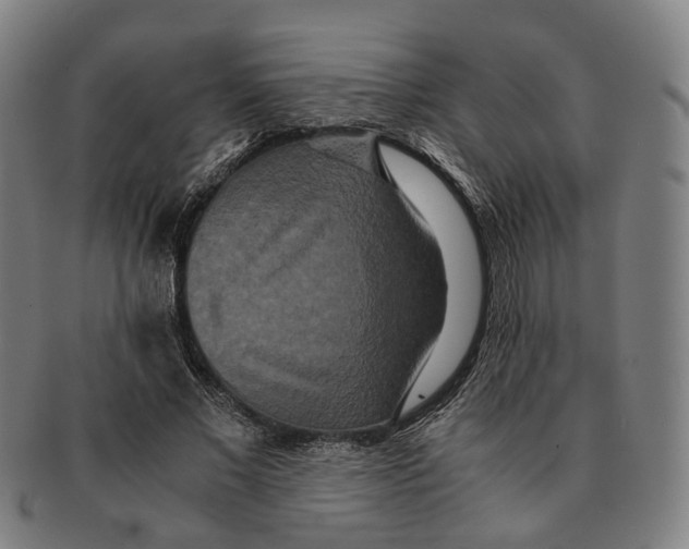 X0000090990685200708301312