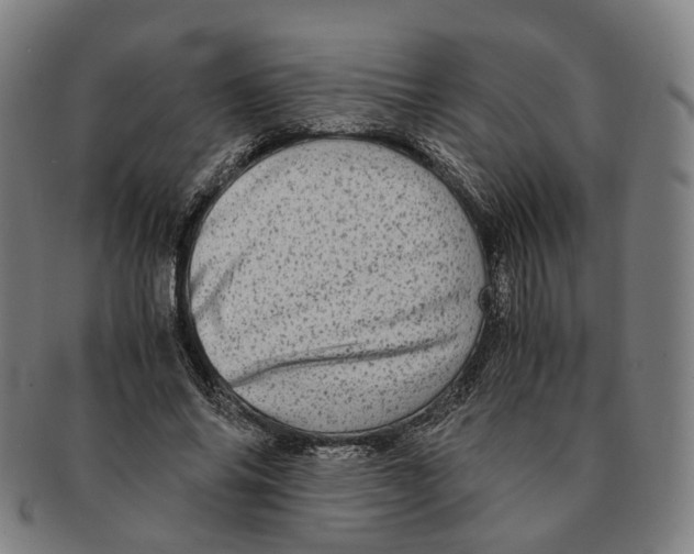 X0000090990686200708301312