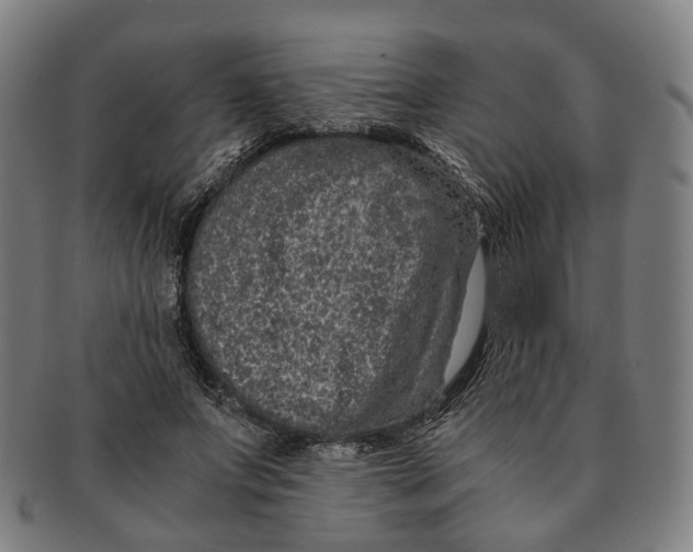 X0000090990687200708301312