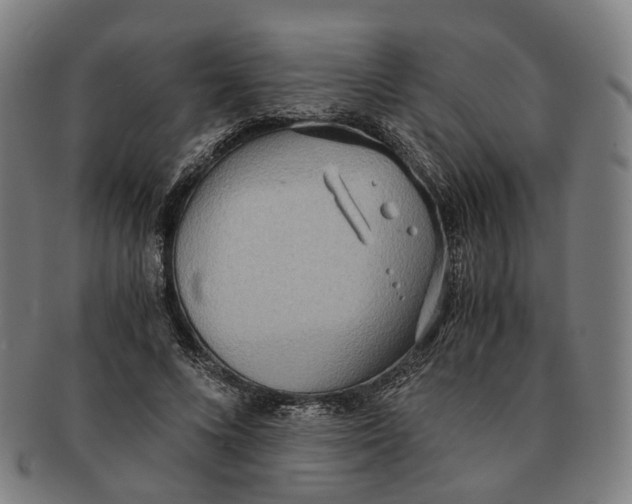 X0000090990688200708301312