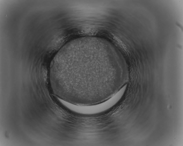 X0000090990693200708301312