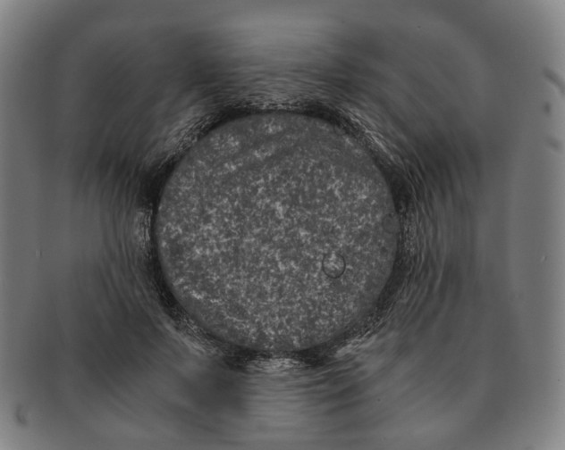 X0000090990695200708301312