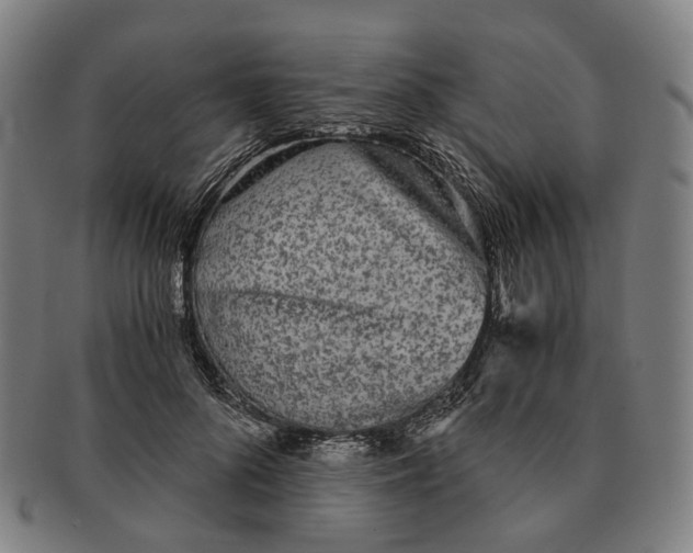 X0000090990696200708301312