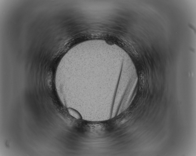 X0000090990698200708301312