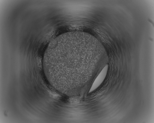 X0000090990699200708301312