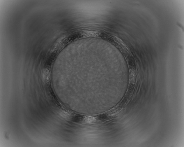 X0000090990701200708301312