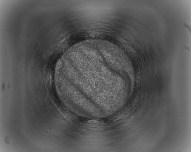 X0000090990703200708301312