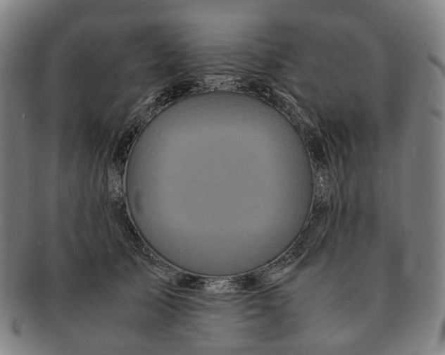 X0000090990705200708301312