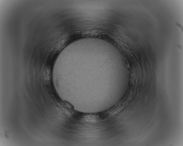 X0000090990708200708301312