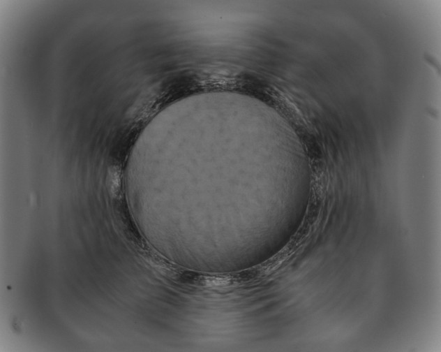 X0000090990709200708301312