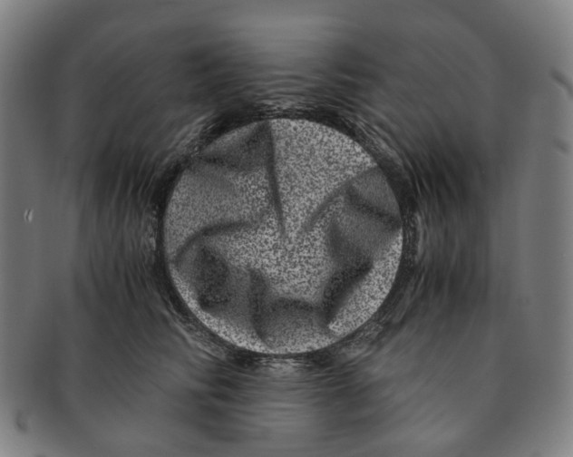 X0000090990710200708301312