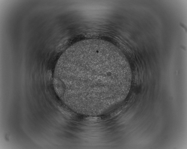 X0000090990711200708301312