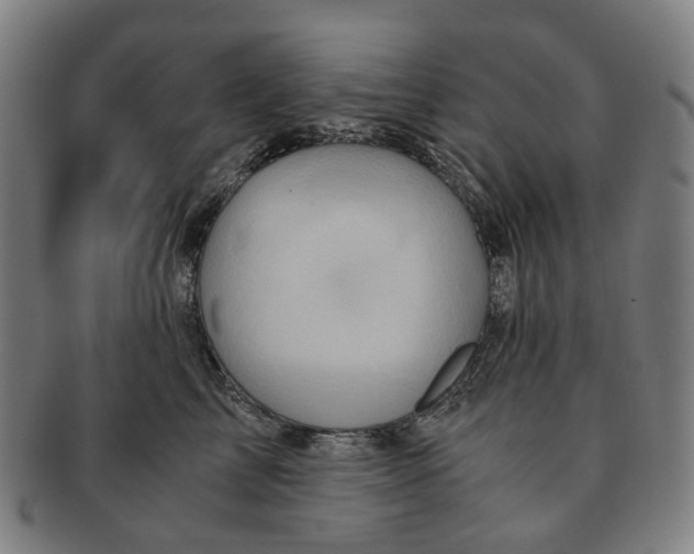 X0000090990713200708301312