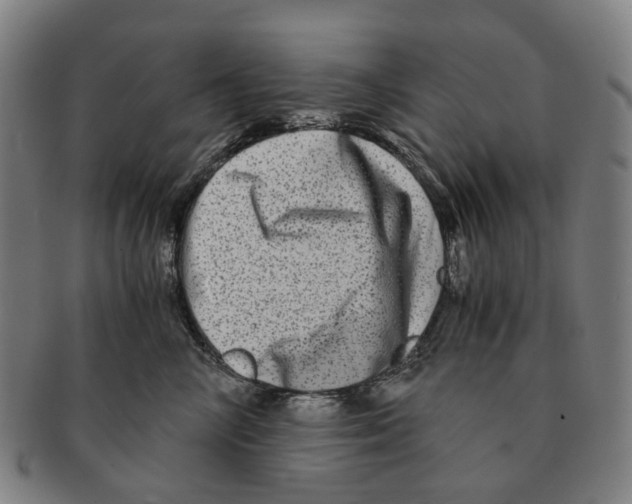 X0000090990714200708301312