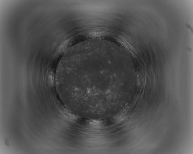 X0000090990718200708301312