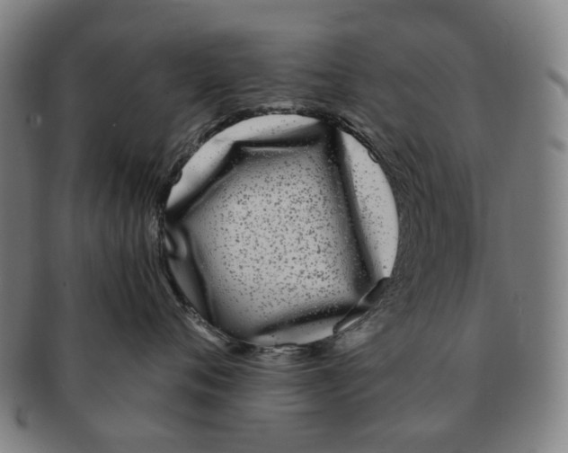 X0000090990720200708301312