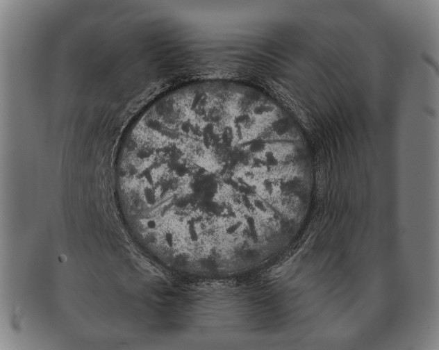 X0000090990721200708301311