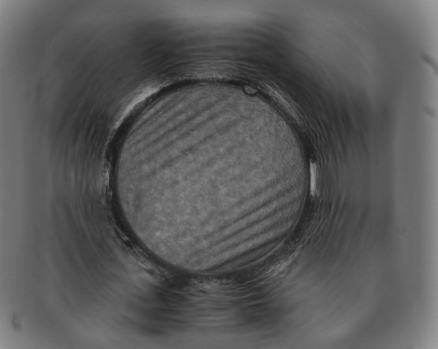 X0000090990723200708301311