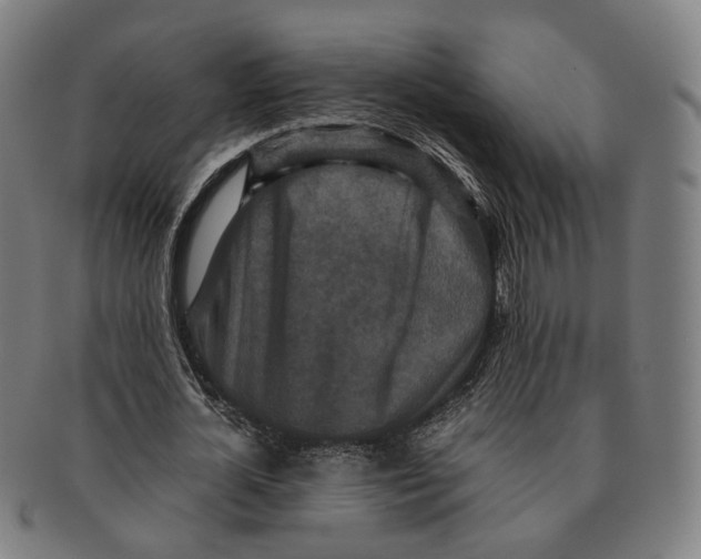 X0000090990724200708301311