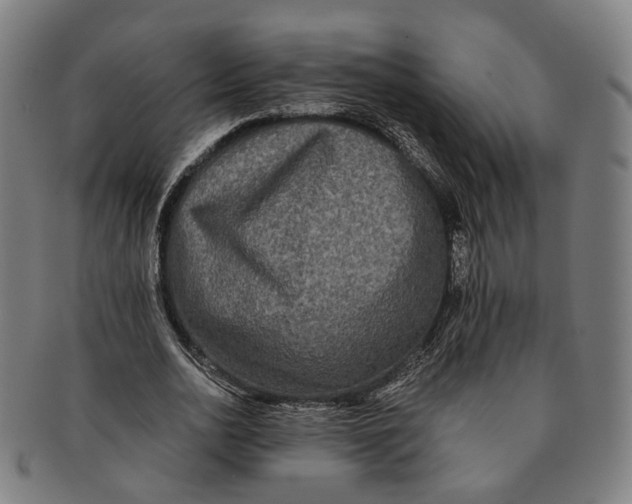 X0000090990726200708301311