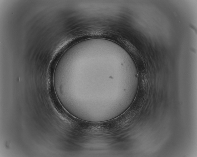 X0000090990728200708301311