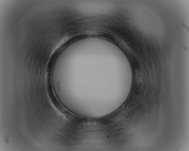 X0000090990730200708301311