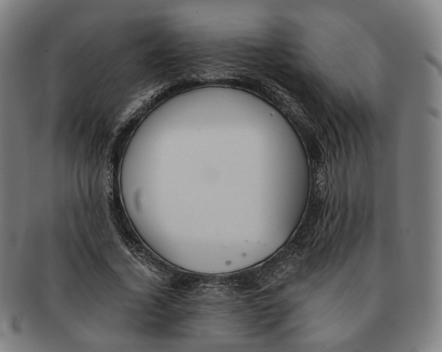 X0000090990732200708301311