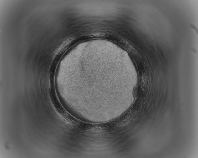 X0000090990734200708301311