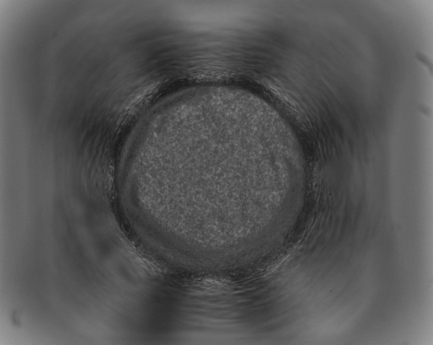 X0000090990737200708301311