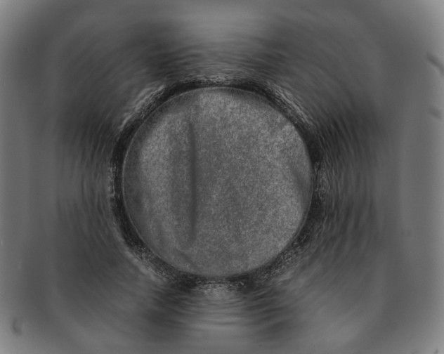 X0000090990738200708301311