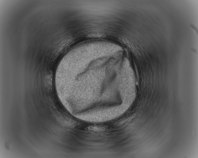 X0000090990739200708301311