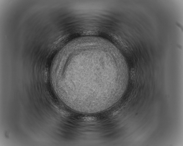 X0000090990741200708301311