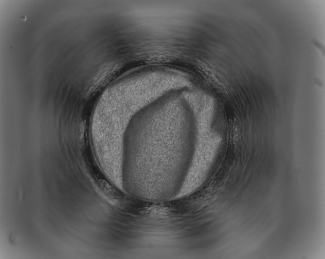 X0000090990742200708301311