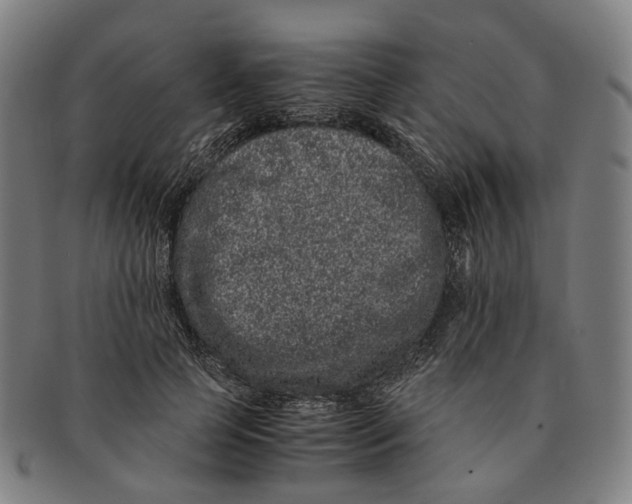 X0000090990745200708301311