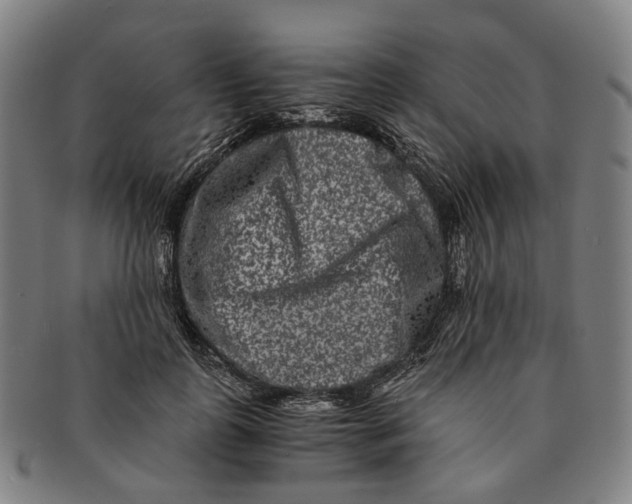 X0000090990747200708301312