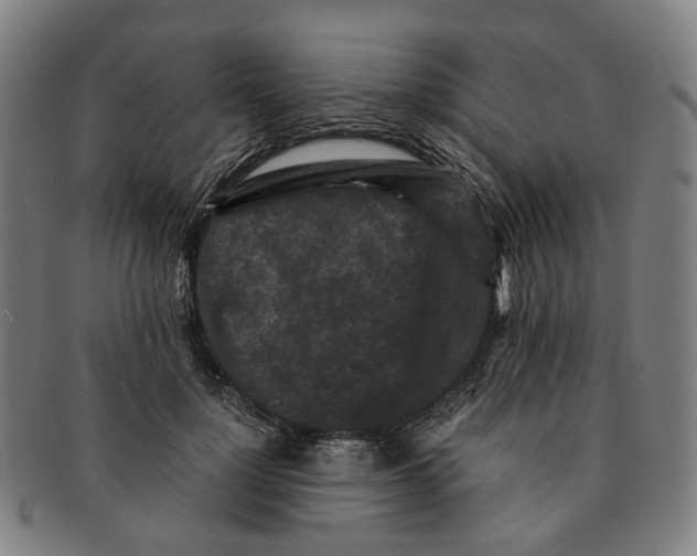 X0000090990748200708301312