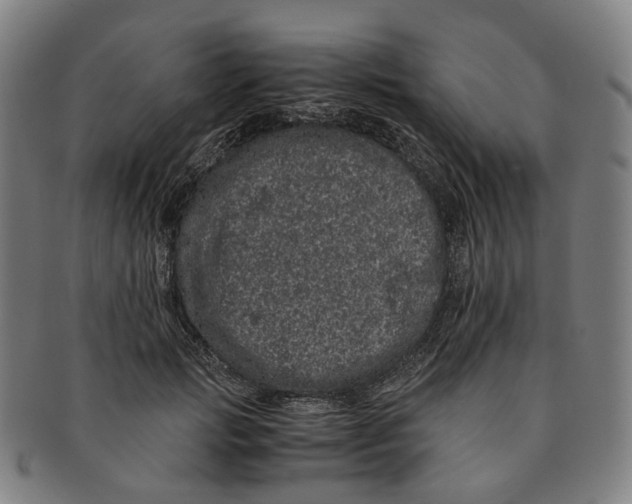 X0000090990749200708301312