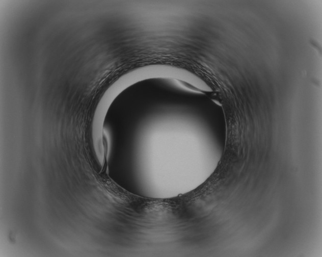 X0000090990750200708301312