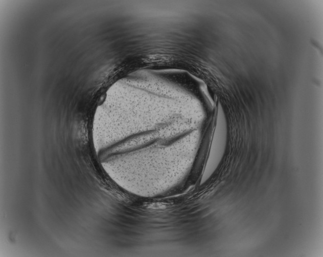 X0000090990751200708301312