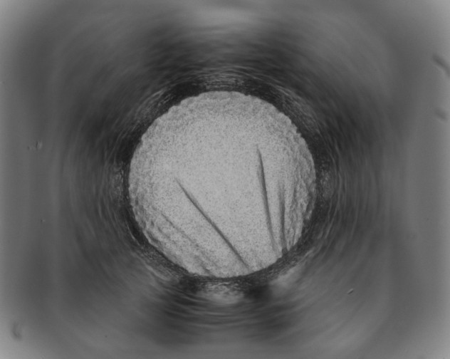 X0000090990753200708301312