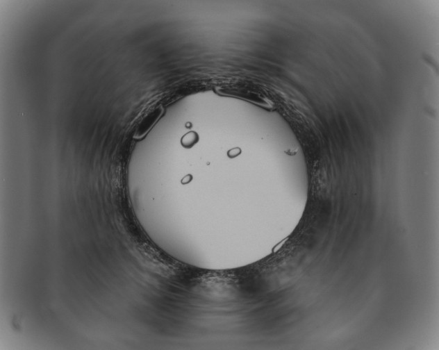 X0000090990756200708301312