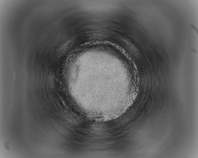 X0000090990757200708301312